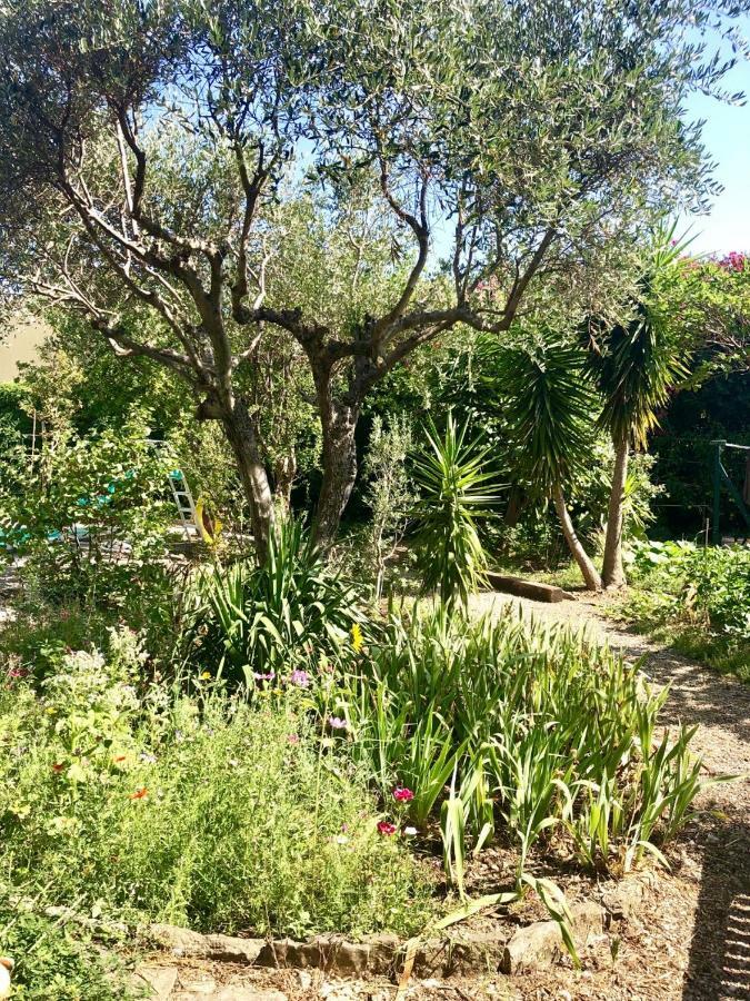 Les Pinsons Apartment La Ciotat Luaran gambar